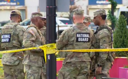 Two National Guard members shot near White House, suspect in custody: police