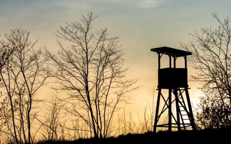 Kentucky hunter bags $1.1 million lottery win from deer stand