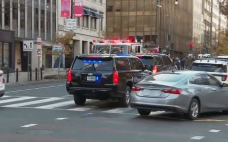 2 National Guard members shot near White House, suspect in custody