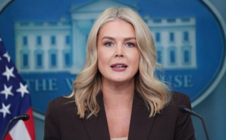 ICE detains mother of Karoline Leavitt's nephew