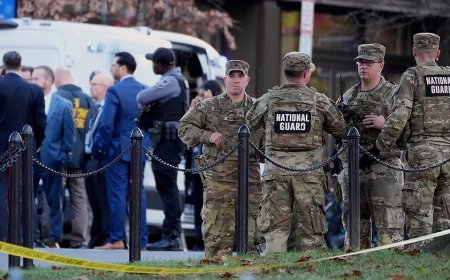 Alleged National Guard shooter worked with US government entities in Afghanistan, including CIA: Ratcliffe