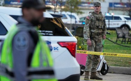 Here's what we know about the shooting of 2 National Guard members in DC 