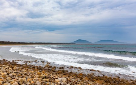 Shark kills woman and seriously wounds another swimmer at Australian beach