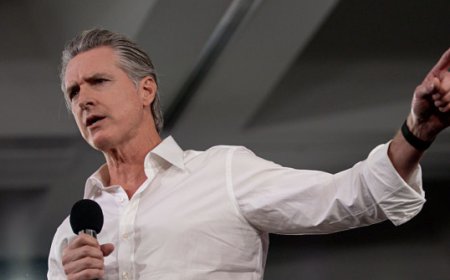 New Hampshire 2028 Primary Poll Shows Democrats Split and in Disarray