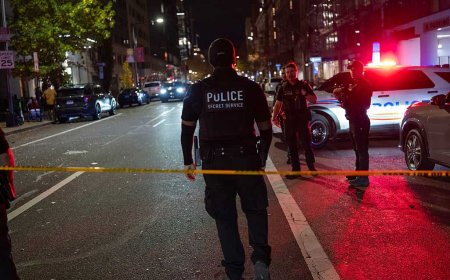 Two National Guard members shot just blocks from the White House; suspect in custody