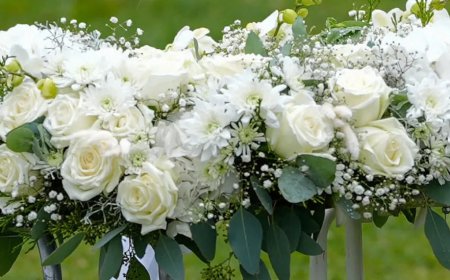 Actor Tony Germano Plunges To His Death In Horrifying Accident