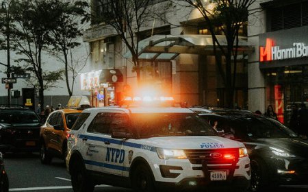 Police: Pro-Palestinian Protesters Storm Retail Store in NYC on Black Friday
