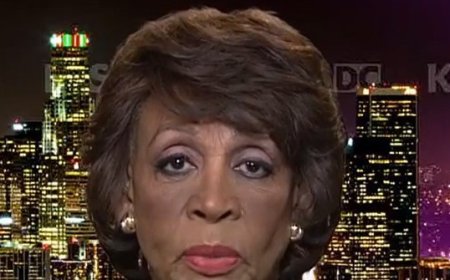 Waters: The Media Don't 'Resist' Trump