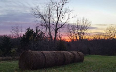 Joe's Blog: Buckle up buttercups! (FRI-11/28)