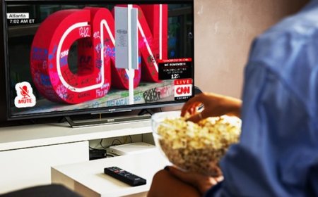 New White House Media Bias Website Just Turned on the Floodlights