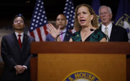 Former DNC Chair Blames Trump For National Guard Shooting