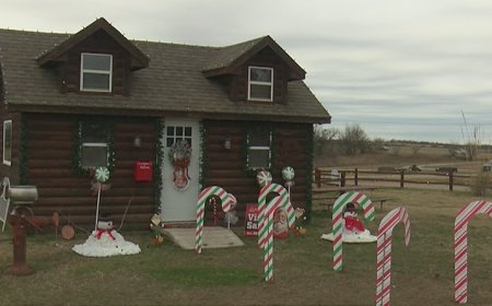 Applejack Tree Farm opens for Christmas season in Augusta