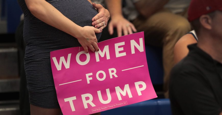 The Partisan Divide in Sinking US Birth Rates