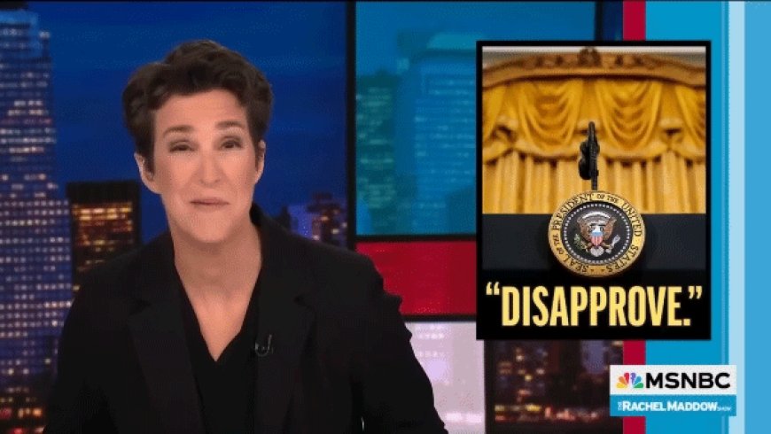 Rachel Maddow tells business leaders not to kowtow to 'deeply unpopular' Trump