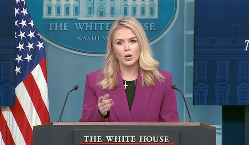 Karoline Leavitt Skewers Zohran Mamdani After He Blames Trump for NJ Polling Location Threats