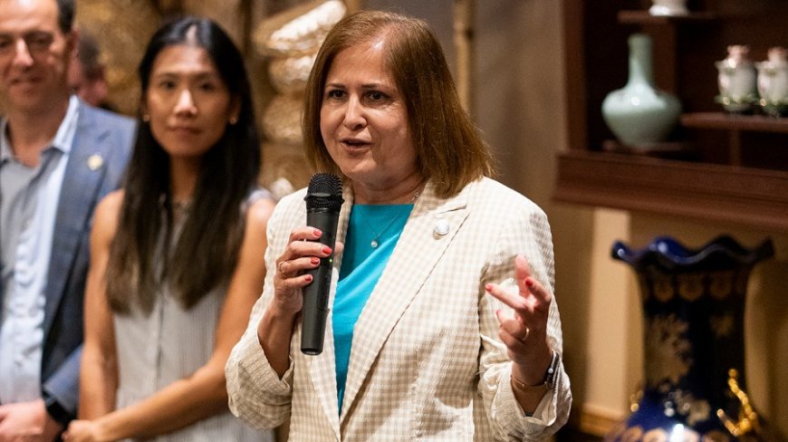 Hashmi wins Virginia lieutenant governor's race, will be first Muslim woman in statewide office
