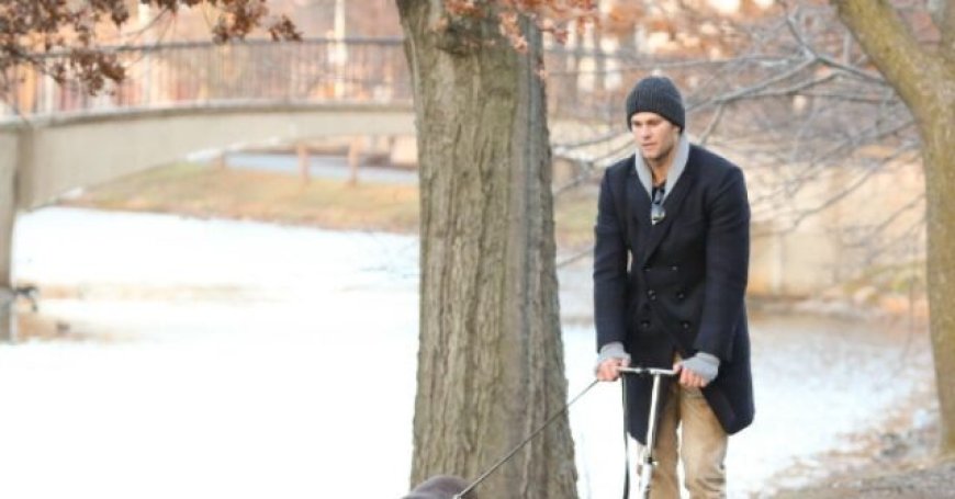 Tom Brady Admits His Current Dog Is Clone of Former Pet Lua, Who Died in 2023