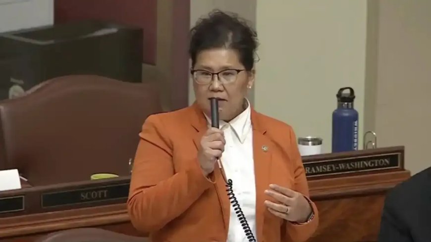 'I am illegal': Leftist who made shocking confession wins mayoral race in Minnesota