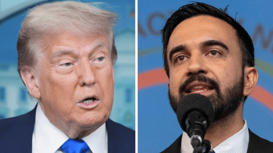 Trump says Mamdani should reach out to him: 'Has to be a little bit respectful of Washington'