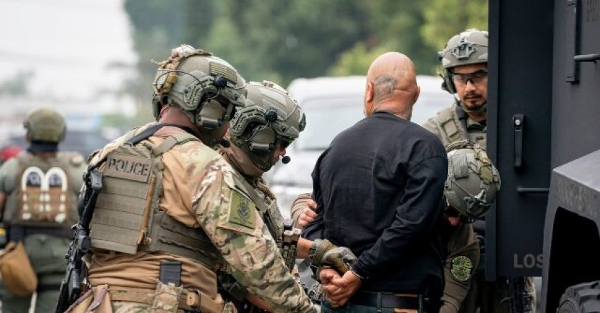 Trick-or-Treat in Peace: ICE Takes 'Monsters' Off the Streets for Halloween