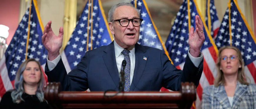 NEWT GINGRICH: Chuck Schumer’s Shutdown Strategy