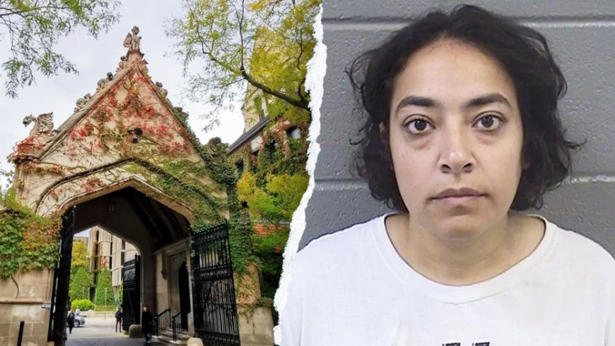 UChicago silent on anti-ICE professor's employment status month after rally arrest on violent felonies