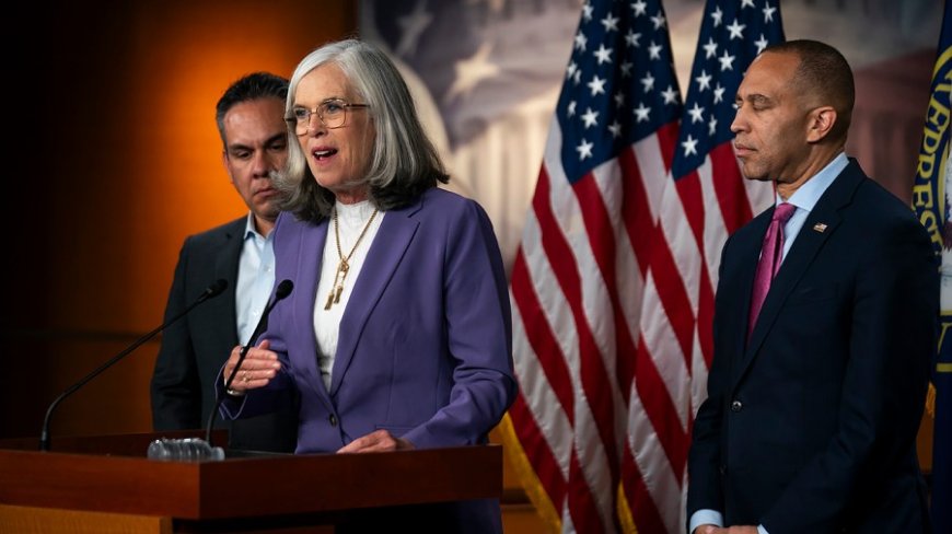 Watch live: House Democrats speak as government shutdown persists