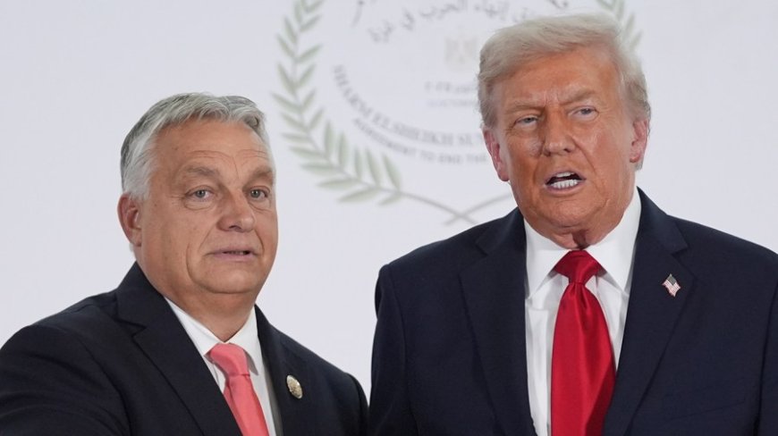 Hungary's 'spoiler' Orbán receives long-delayed White House debut