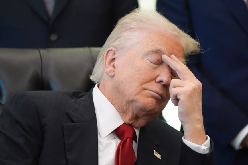 'America's Flightmare' Begins: Nearly 1000 Flights Canceled Already in Schumer Shutdown