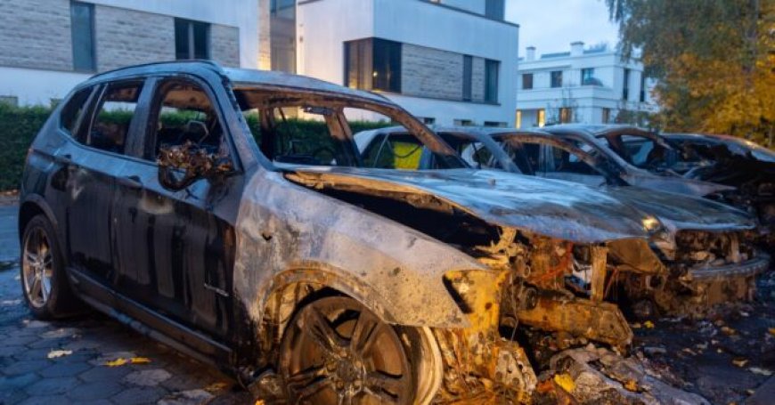 Antifa Radicals Admit to Arson Attack on AfD Lawmaker's Car with 'Incendiary Device'
