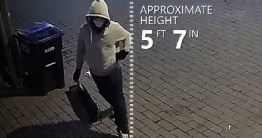 Pipe Bomber’s Actions Enabled Speaker Pelosi to Certify the 2020 Election for Joe Biden