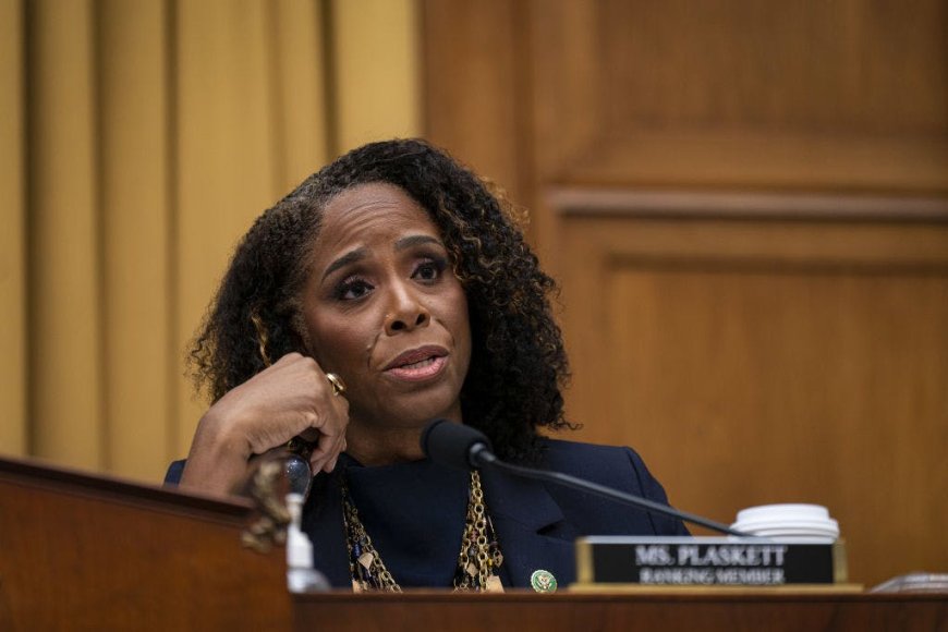 Democrats Shield Jeffrey Epstein’s Favorite Delegate From Censure