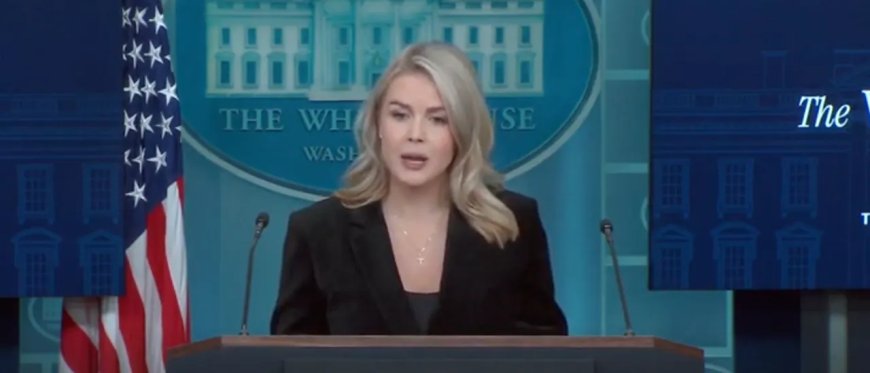 Karoline Leavitt Pressed About Trump Saying Democrats Committed Crimes ‘Punishable By Death’