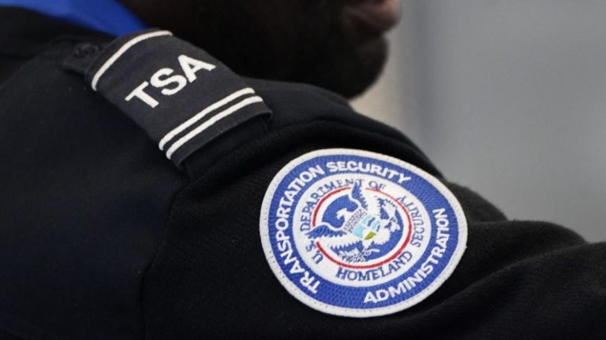 TSA conducting review after passenger gets meat cleaver through security