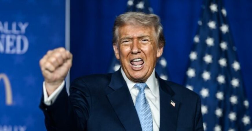 Golden Age: America's Foreign-Born Population Drops by 2.3 Million Thus Far Under Trump