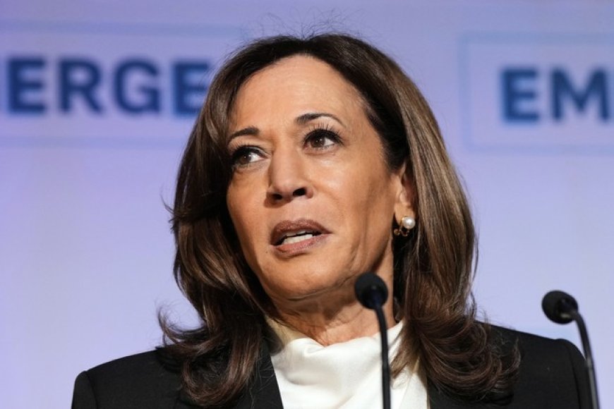 Kamala Finally Comments on the Epstein Files - and There's a Big Question the Media Has for Her