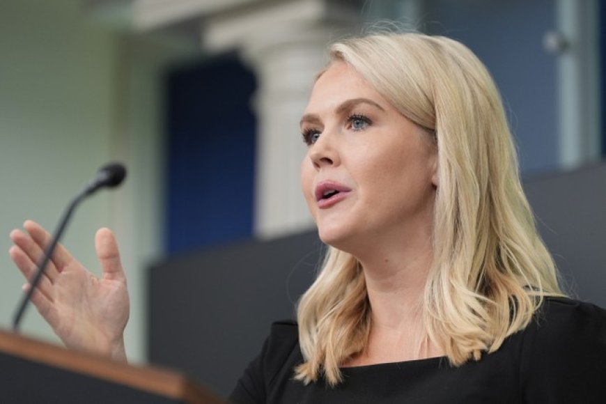 Karoline Leavitt Drops Mic on Dems Calling on Troops to Defy Orders