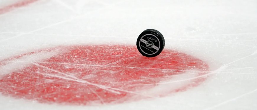 Ceremonial Puck Drop Turns Into Player Getting Bitten By Police Dog At Hockey Game