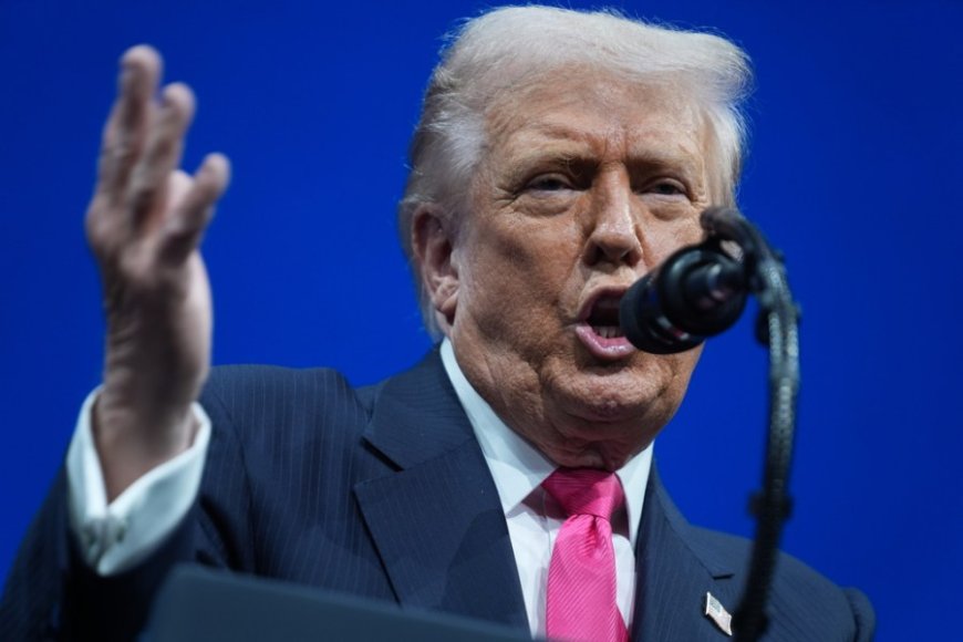 In the name of all things Trump...