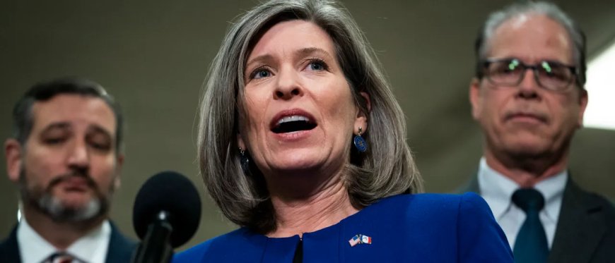 EXCLUSIVE: Ernst, Cruz Introduce Bill To Recover Billions From Biden Boondoggle