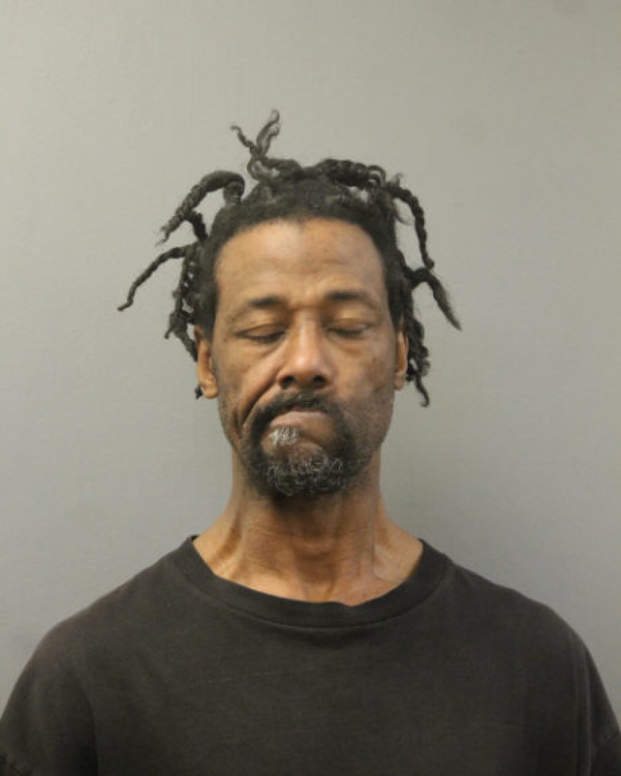 Violent firebug who allegedly set woman ablaze on Chicago train has another arson rap to his name — but was given probation