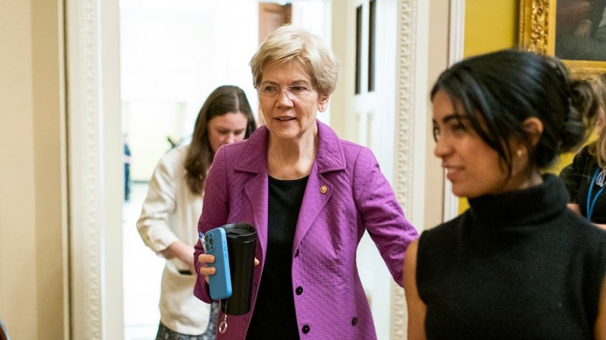 Warren: Trump ‘trying to take a little of the shine that Zohran Mamdani has'
