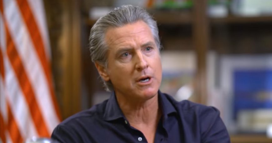 Gavin Newsom’s Very Good Year*