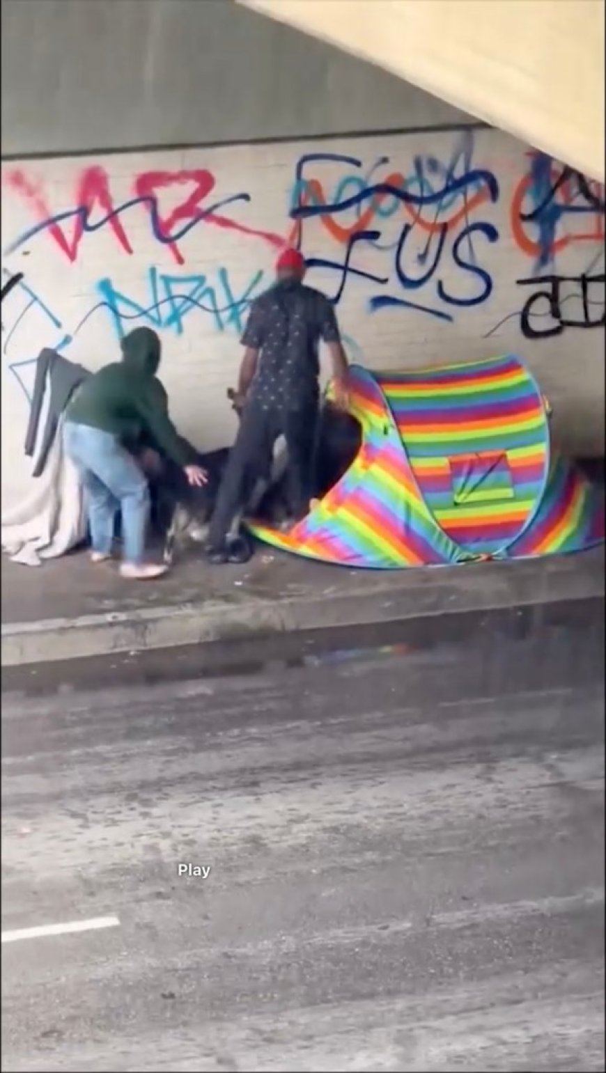 Dog screams in pain as homeless man drags it into tent near Skid Row