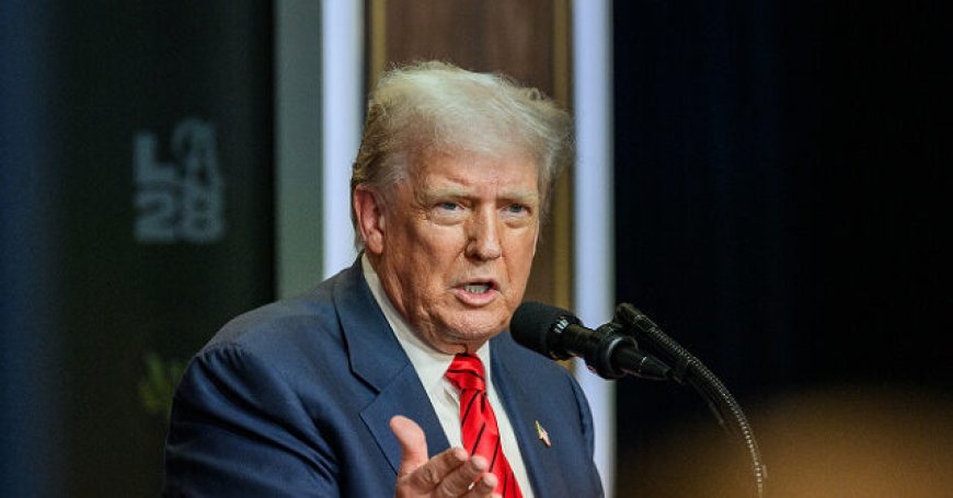 Trump Terminates 'Temporary' Amnesty for Somali Migrants in Minnesota: 'Billions of Dollars' Missing