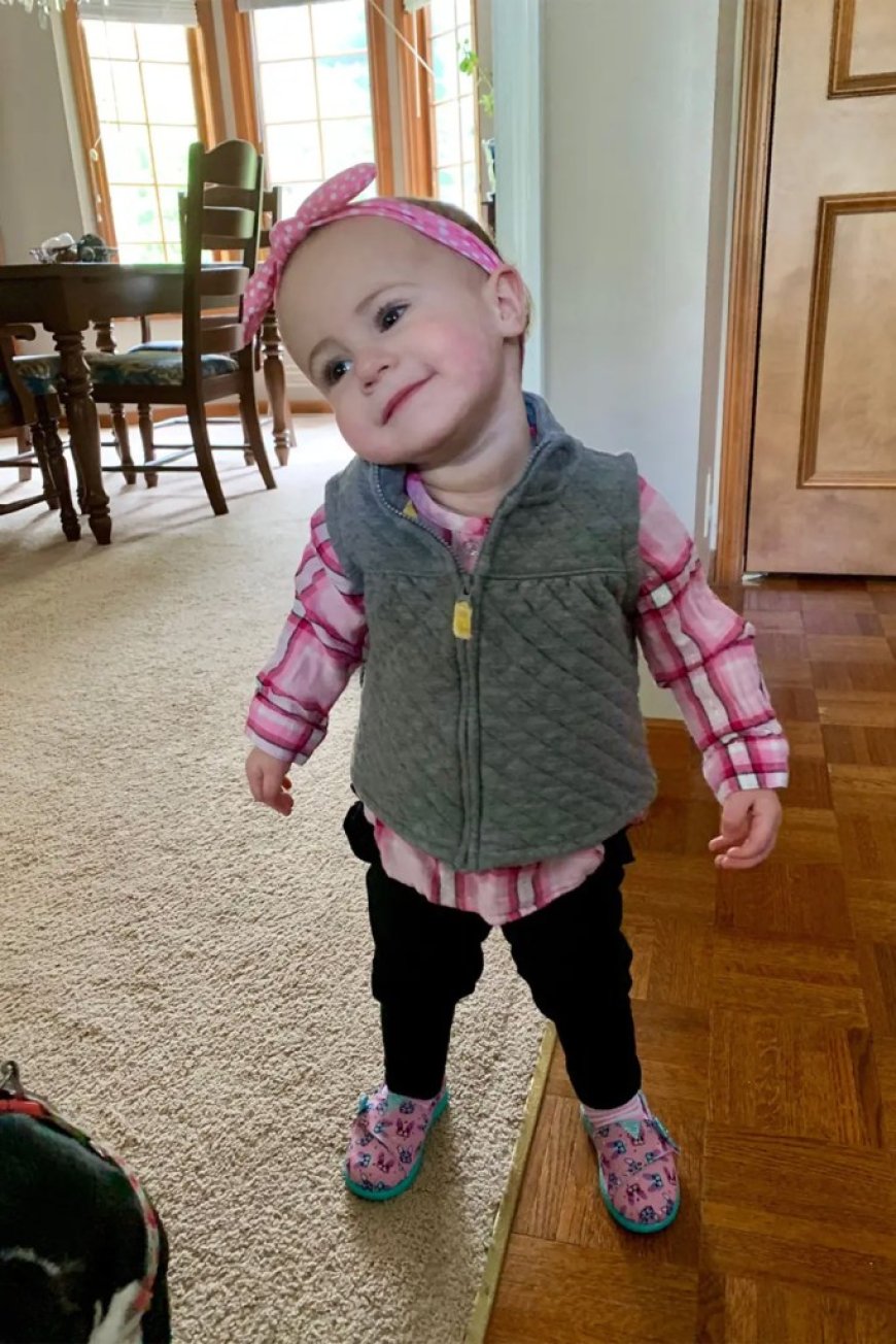 Parents of toddler who plunged to her death out of open cruise ship window divorce