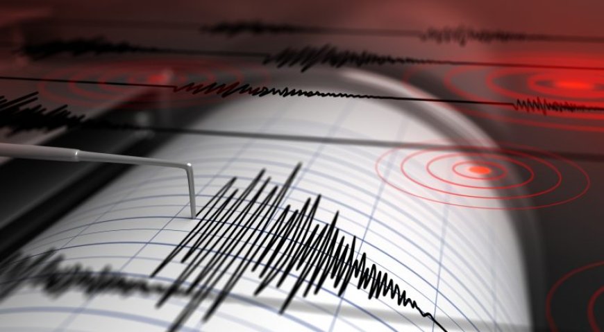 Two earthquakes shake New Madrid only minutes apart