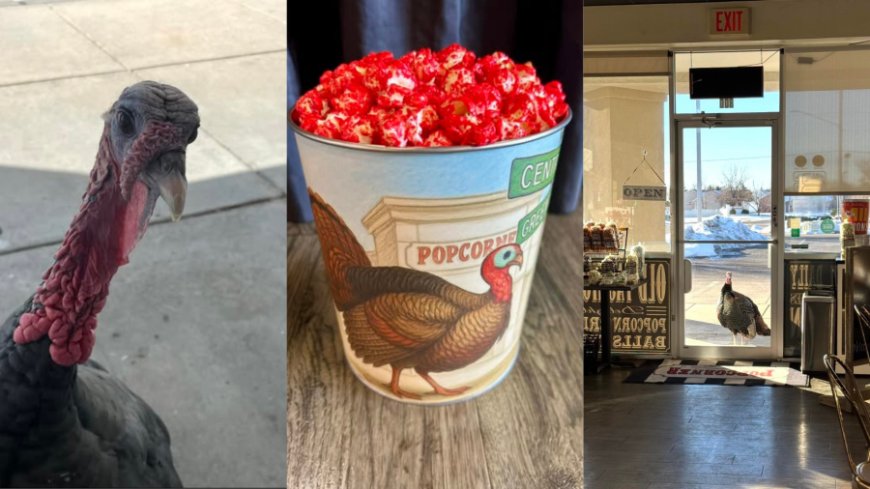 Wichita business creates popcorn tin for beloved turkey