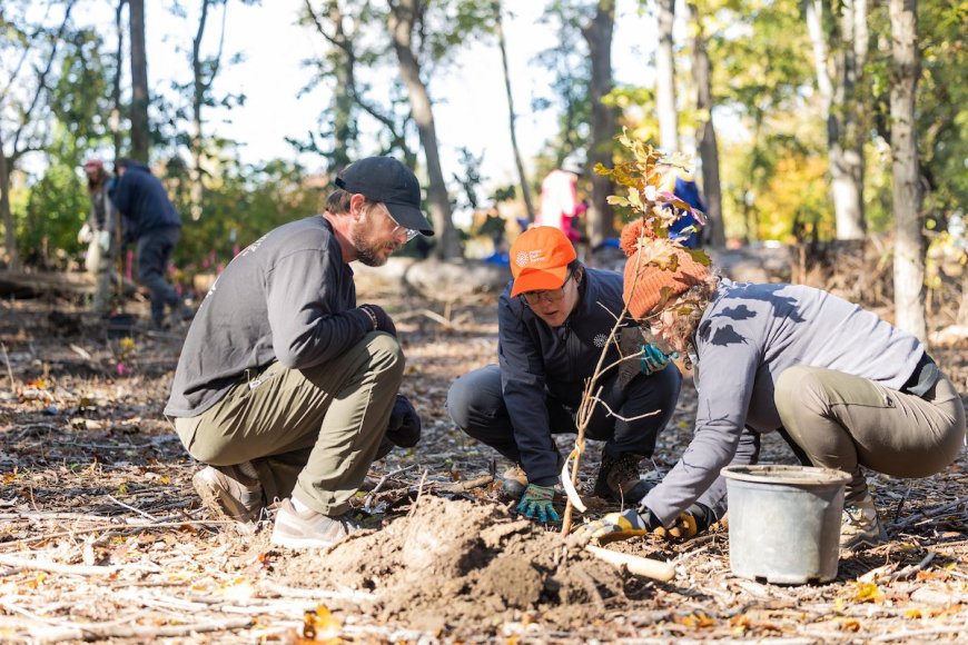 More Than 880 Trees Planted on 26th Annual Forest Restoration Day