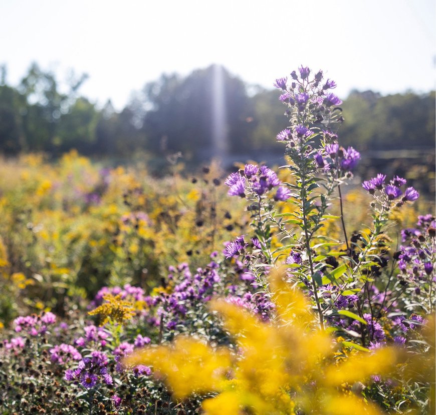 A September to Remember